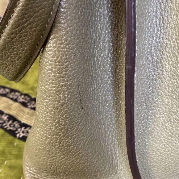 Coach Light Fern Charlie 55200 Polished Pebble Leather Bucket Shoulder Purse - Picture 7 of 16